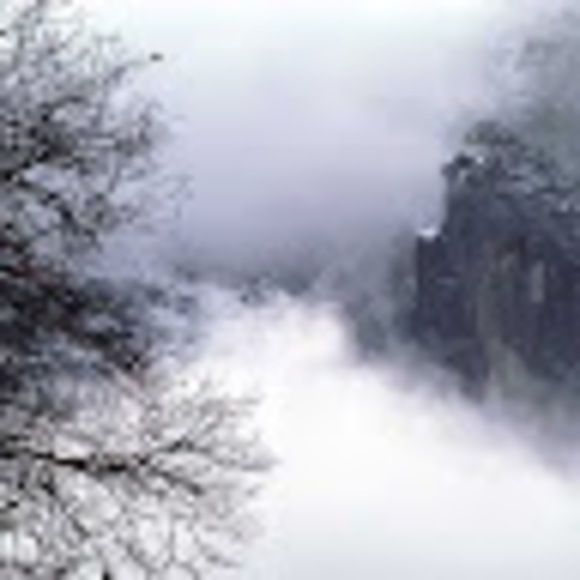 Meet your Posher, Eliza - Picture 1 of 1